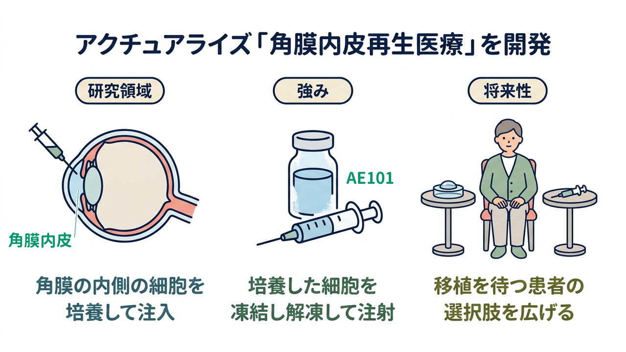 アクチュアライズ「角膜内皮再生医療」を開発｜研究領域=角膜の内側の細胞を・培養して注入／強み=培養した細胞を・凍結し解凍して注射／将来性=移植を待つ患者の・選択肢を広げる