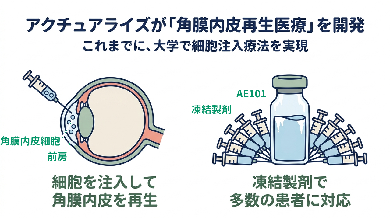 アクチュアライズが「角膜内皮再生医療」を開発｜これまでに、大学で細胞注入療法を実現｜細胞を注入して・角膜内皮を再生／凍結製剤で・多数の患者に対応