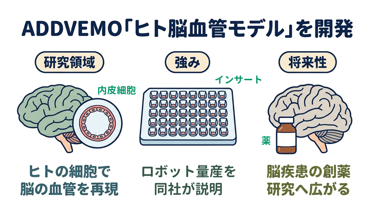 ADDVEMO「ヒト脳血管モデル」を開発｜研究領域=ヒトの細胞で・脳の血管を再現／強み=ロボット量産を・同社が説明／将来性=脳疾患の創薬・研究へ広がる