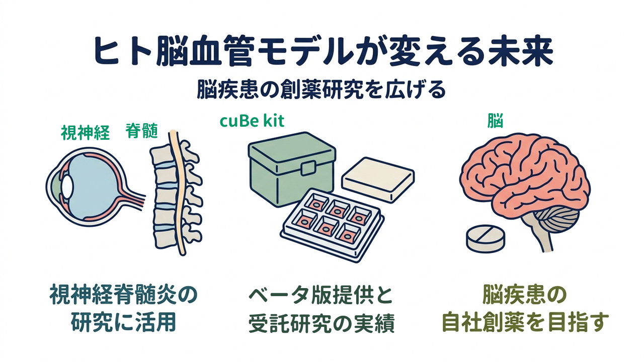 ヒト脳血管モデルが変える未来｜脳疾患の創薬研究を広げる｜視神経脊髄炎の・研究に活用／ベータ版提供と・受託研究の実績／脳疾患の・自社創薬を目指す