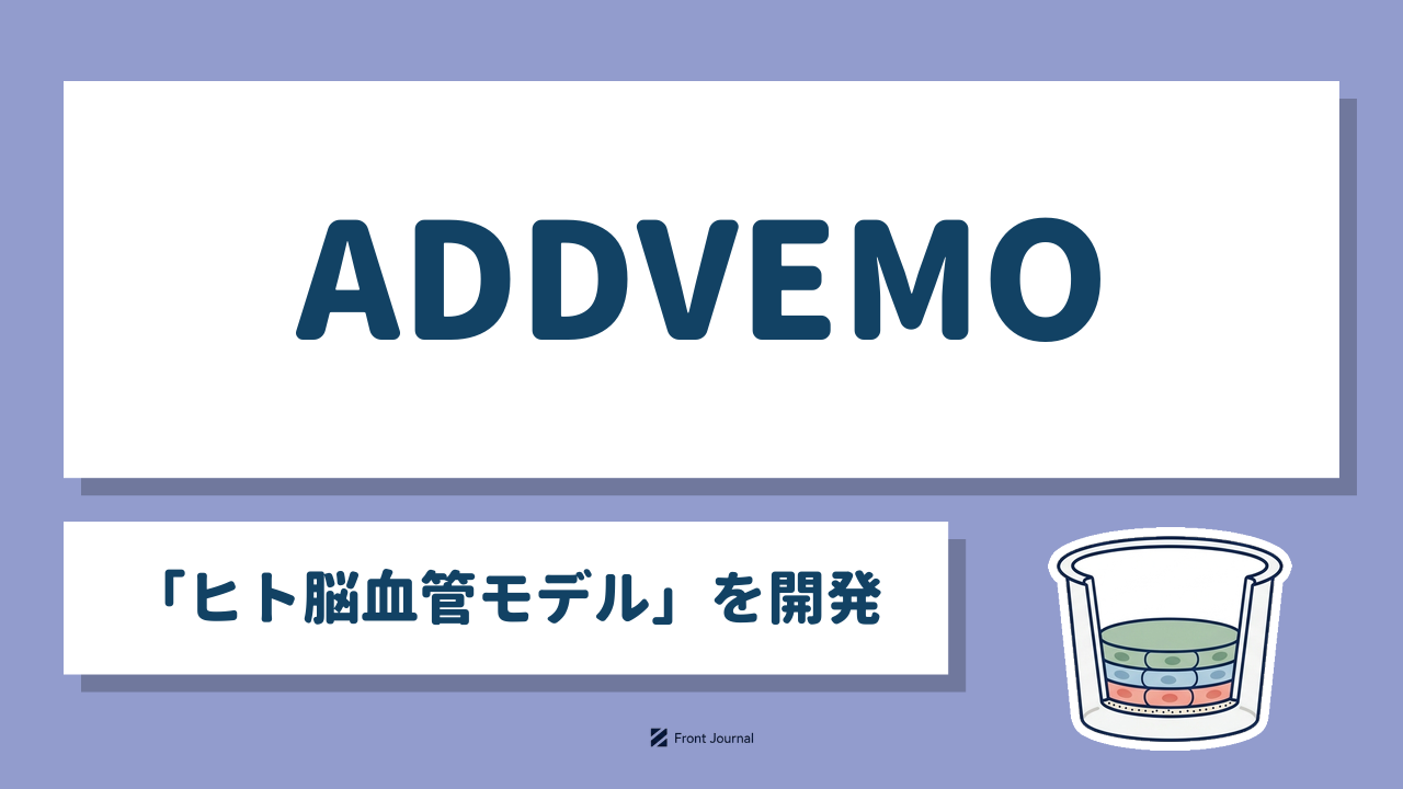 ADDVEMO「ヒト脳血管モデル」を開発