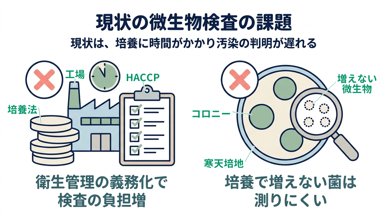 現状の微生物検査の課題｜現状は、培養に時間がかかり汚染の判明が遅れる｜衛生管理の義務化で・検査の負担増／培養で増えない菌は・測りにくい