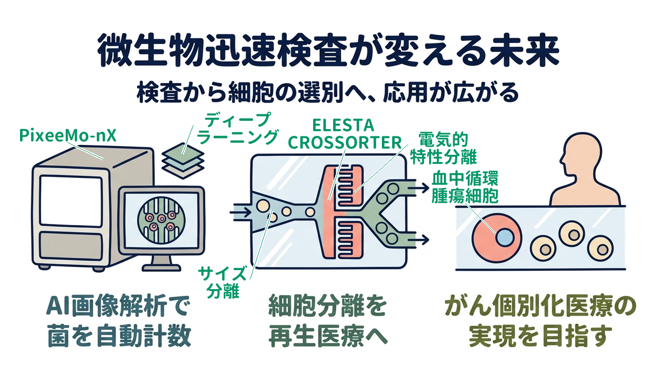 微生物迅速検査が変える未来｜検査から細胞の選別へ、応用が広がる｜AI画像解析で・菌を自動計数／細胞分離を・再生医療へ／がん個別化医療の・実現を目指す