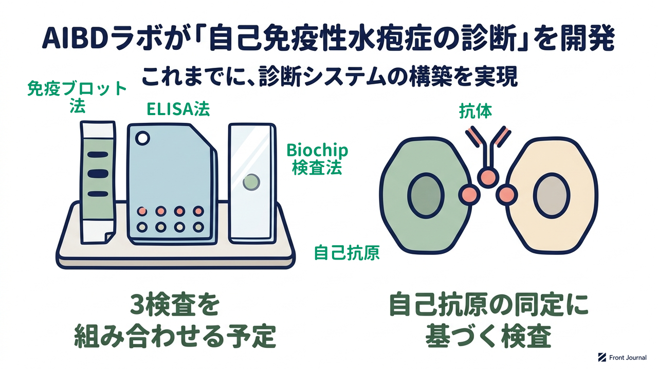 AIBDラボが「自己免疫性水疱症の診断」を開発|これまでに、診断システムの構築を実現|3検査を・組み合わせる予定/自己抗原の同定に・基づく検査