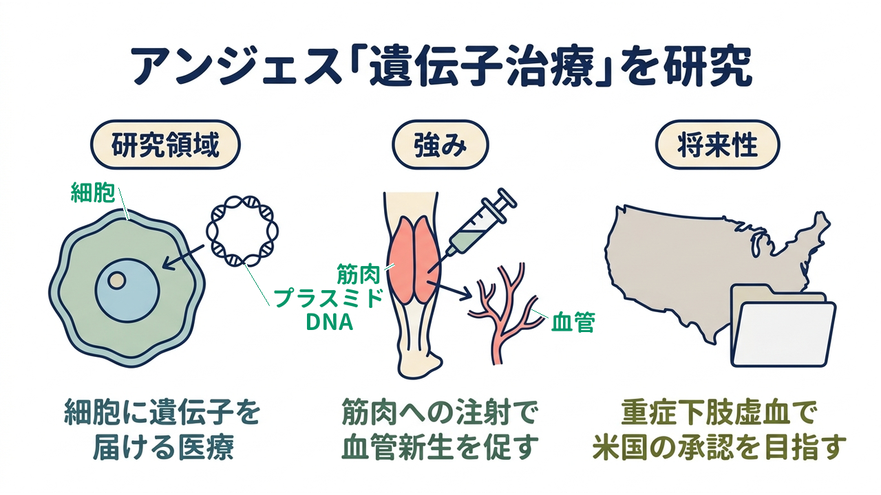 アンジェス「遺伝子治療」を研究｜研究領域=細胞に遺伝子を・届ける医療／強み=筋肉への注射で・血管新生を促す／将来性=重症下肢虚血で・米国の承認を目指す