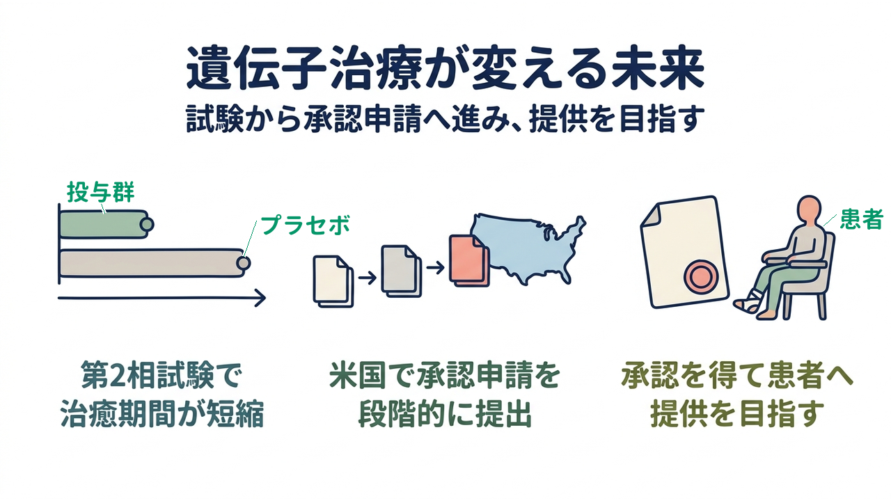 遺伝子治療が変える未来｜試験から承認申請へ進み、提供を目指す｜第2相試験で・治癒期間が短縮／米国で承認申請を・段階的に提出／承認を得て患者へ・提供を目指す