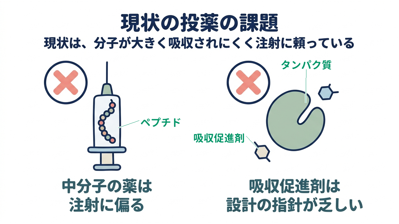 現状の投薬の課題｜現状は、分子が大きく吸収されにくく注射に頼っている｜中分子の薬は・注射に偏る／吸収促進剤は・設計の指針が乏しい
