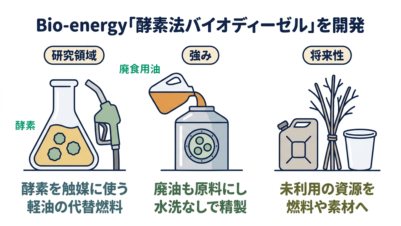 Bio-energy「酵素法バイオディーゼル」を開発|研究領域=酵素を触媒に使う・軽油の代替燃料/強み=廃油も原料にし・水洗なしで精製/将来性=未利用の資源を・燃料や素材へ
