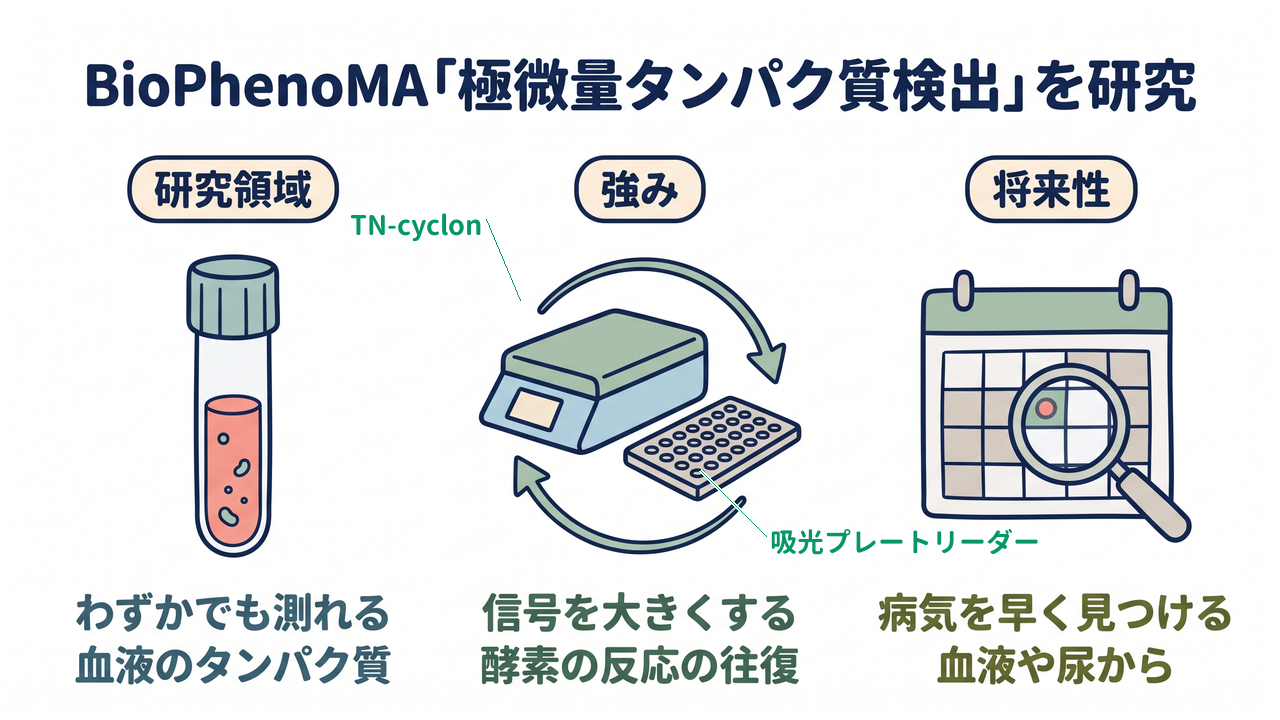 BioPhenoMA「極微量タンパク質検出」を研究｜研究領域=わずかでも測れる血液のタンパク質／強み=信号を大きくする酵素の反応の往復／将来性=病気を早く見つける血液や尿から