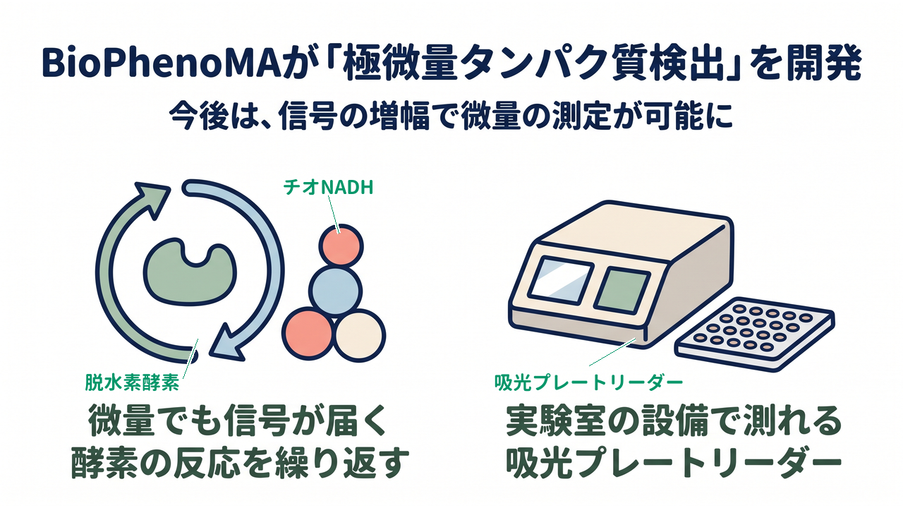 BioPhenoMAが「極微量タンパク質検出」を開発｜微量でも信号が届く酵素の反応を繰り返す／実験室の設備で測れる吸光プレートリーダー