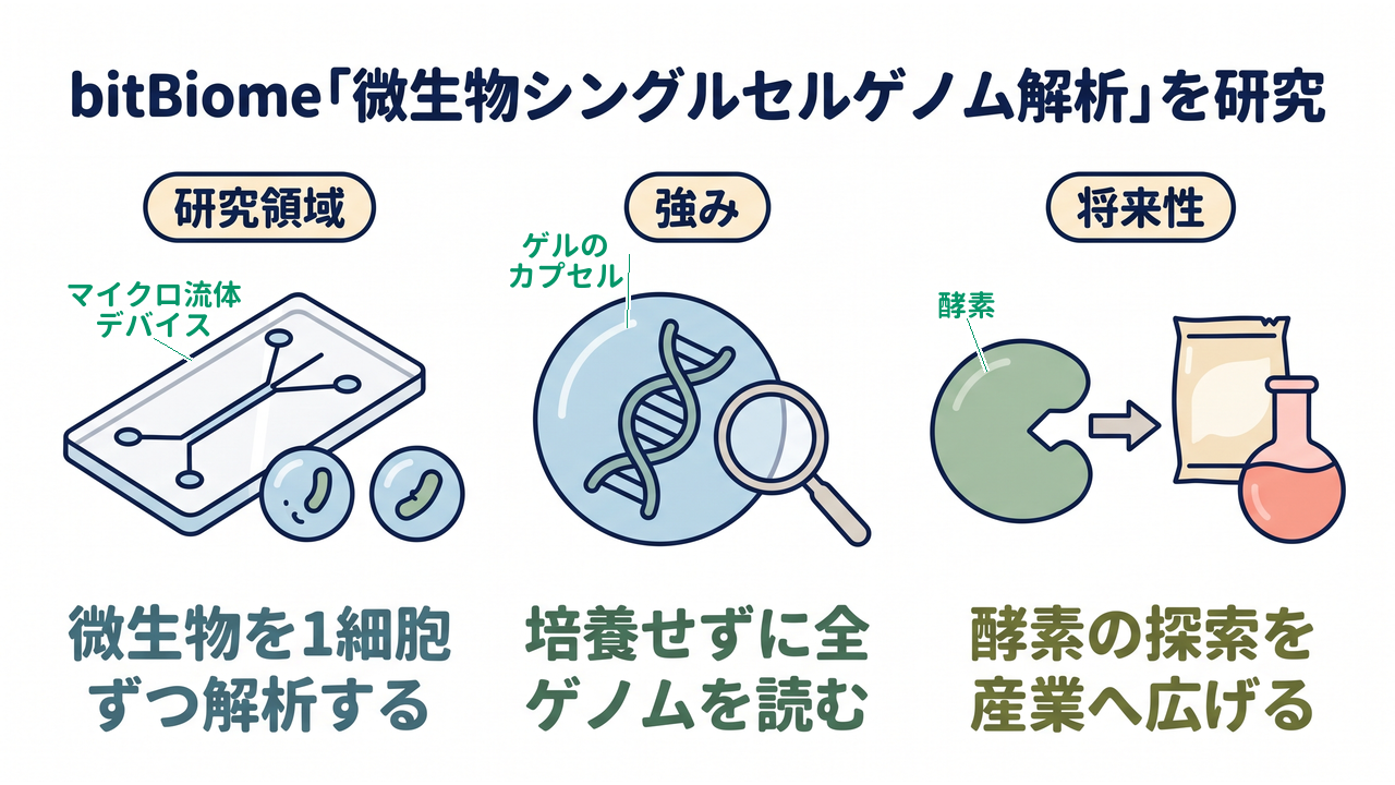 bitBiome「微生物シングルセルゲノム解析」を研究｜研究領域=微生物を1細胞ずつ解析する／強み=培養せずに全ゲノムを読む／将来性=酵素の探索を産業へ広げる