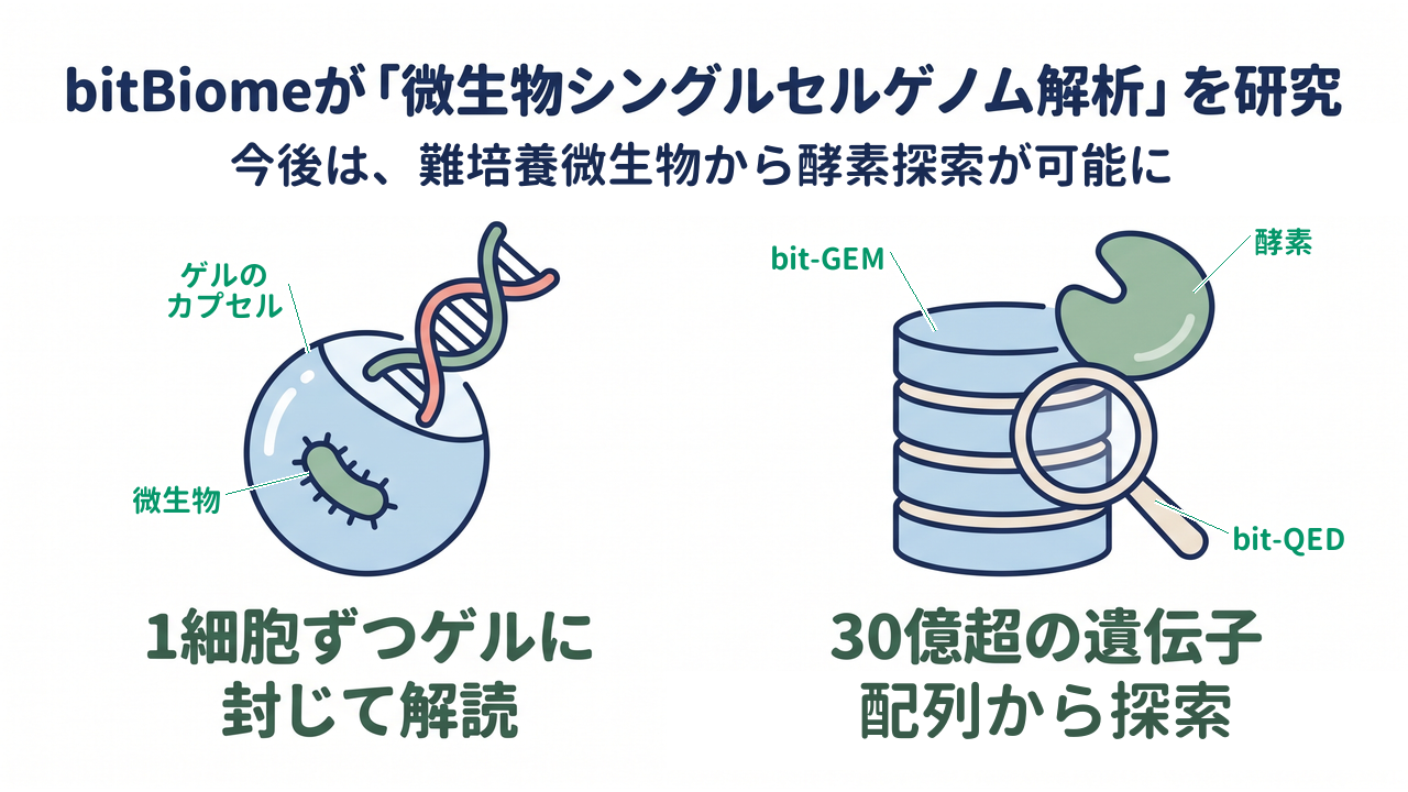 bitBiomeが「微生物シングルセルゲノム解析」を研究｜今後は、難培養微生物から酵素探索が可能に／1細胞ずつゲルに封じて解読／30億超の遺伝子配列から探索