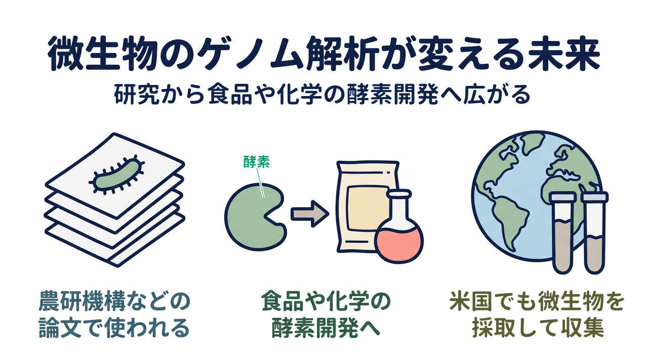 微生物のゲノム解析が変える未来｜研究から食品や化学の酵素開発へ広がる／農研機構などの論文で使われる／食品や化学の酵素開発へ／米国でも微生物を採取して収集