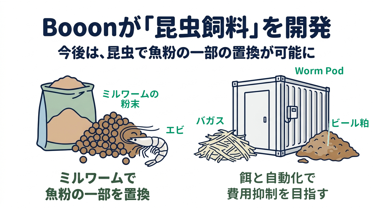 Booonが「昆虫飼料」を開発｜今後は、昆虫で魚粉の一部の置換が可能に／ミルワームで魚粉の一部を置換／餌と自動化で費用抑制を目指す