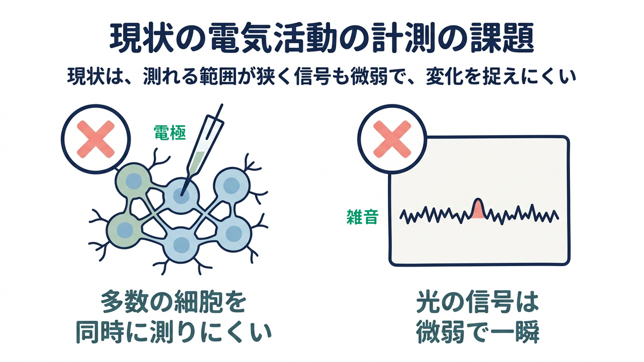 現状の電気活動の計測の課題
