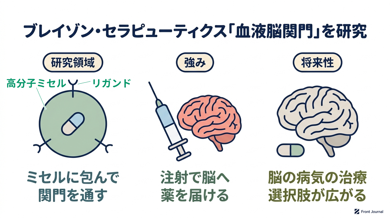 ブレイゾン・セラピューティクス「血液脳関門」を研究｜研究領域=ミセルに包んで関門を通す／強み=注射で脳へ薬を届ける／将来性=脳の病気の治療選択肢が広がる
