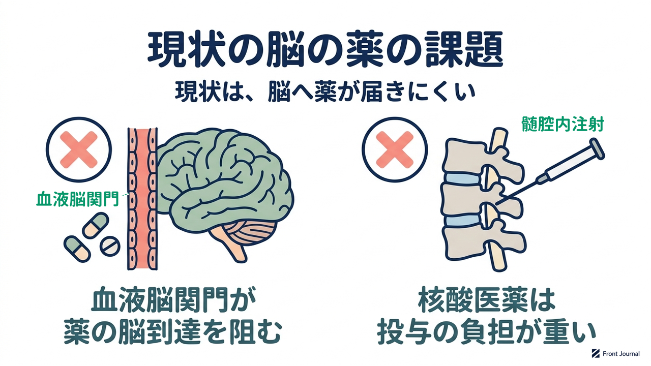 現状の脳の薬の課題｜現状は、脳へ薬が届きにくい／血液脳関門が薬の脳到達を阻む／核酸医薬は投与の負担が重い