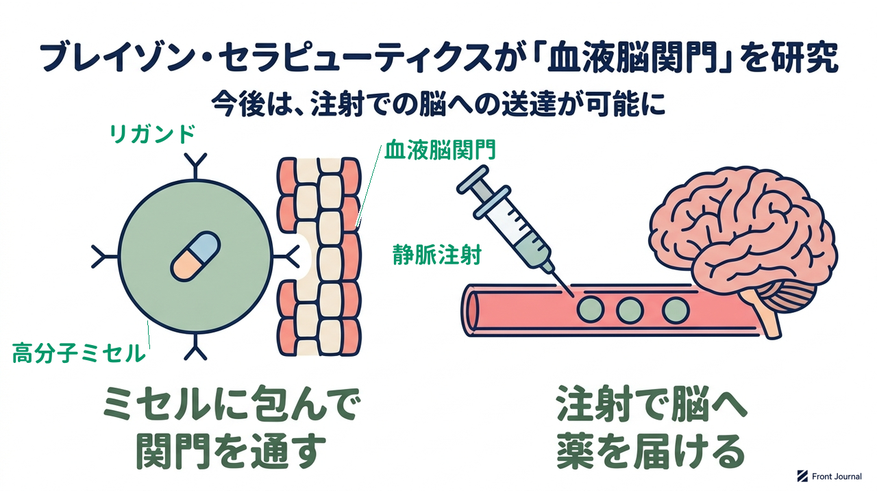 ブレイゾン・セラピューティクスが「血液脳関門」を研究｜今後は、注射での脳への送達が可能に／ミセルに包んで関門を通す／注射で脳へ薬を届ける