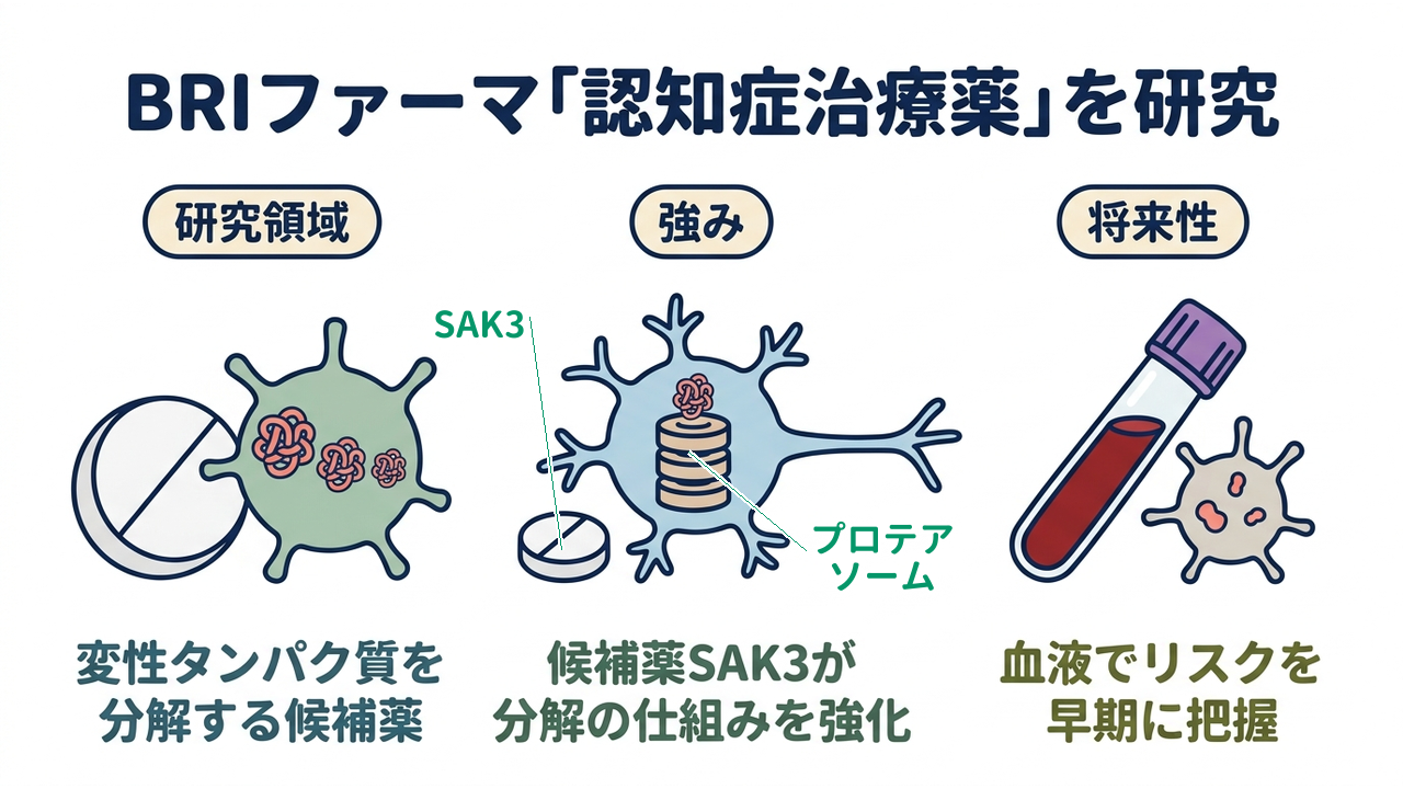 BRIファーマ「認知症治療薬」を研究|研究領域=変性タンパク質を分解する候補薬/強み=候補薬SAK3が分解の仕組みを強化/将来性=血液でリスクを早期に把握