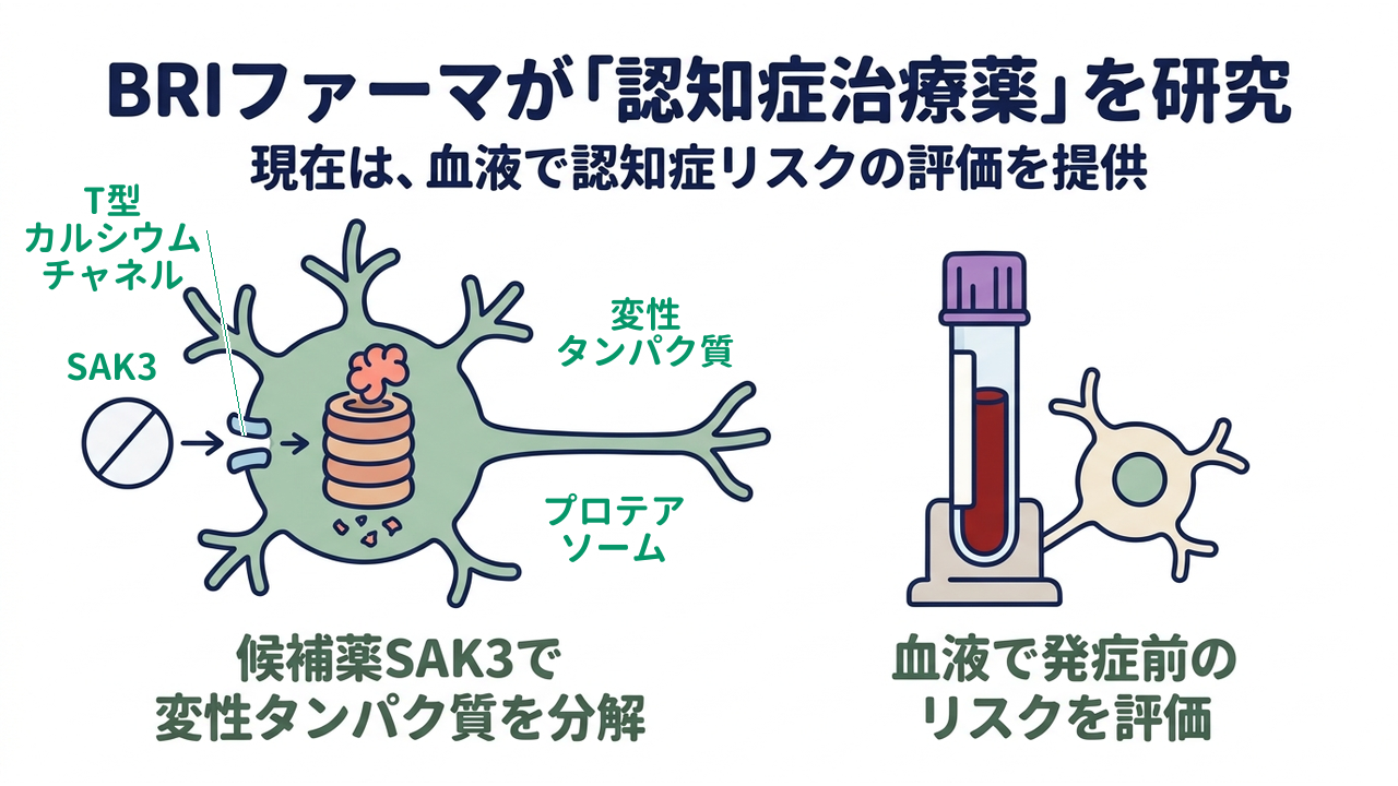 BRIファーマが「認知症治療薬」を研究|候補薬SAK3で変性タンパク質を分解/血液で発症前のリスクを評価