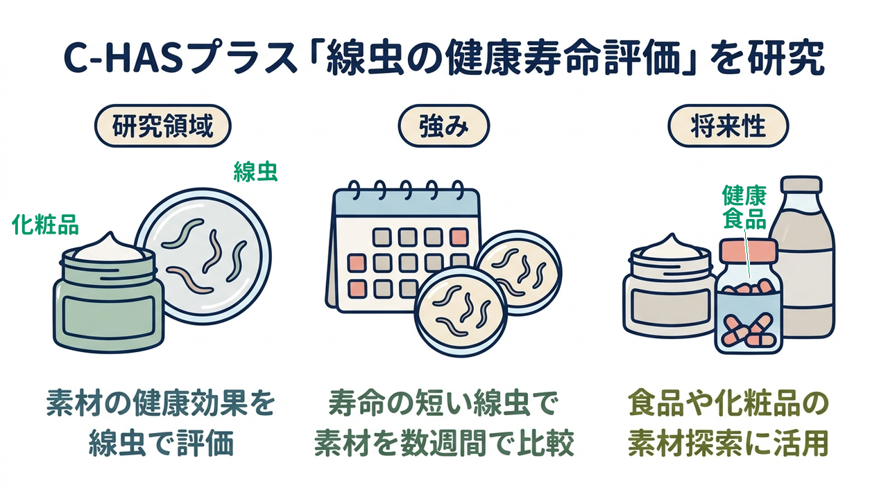 C-HASプラス「線虫の健康寿命評価」を研究|研究領域=素材の健康効果を・線虫で評価/強み=寿命の短い線虫で・素材を数週間で比較/将来性=食品や化粧品の・素材探索に活用