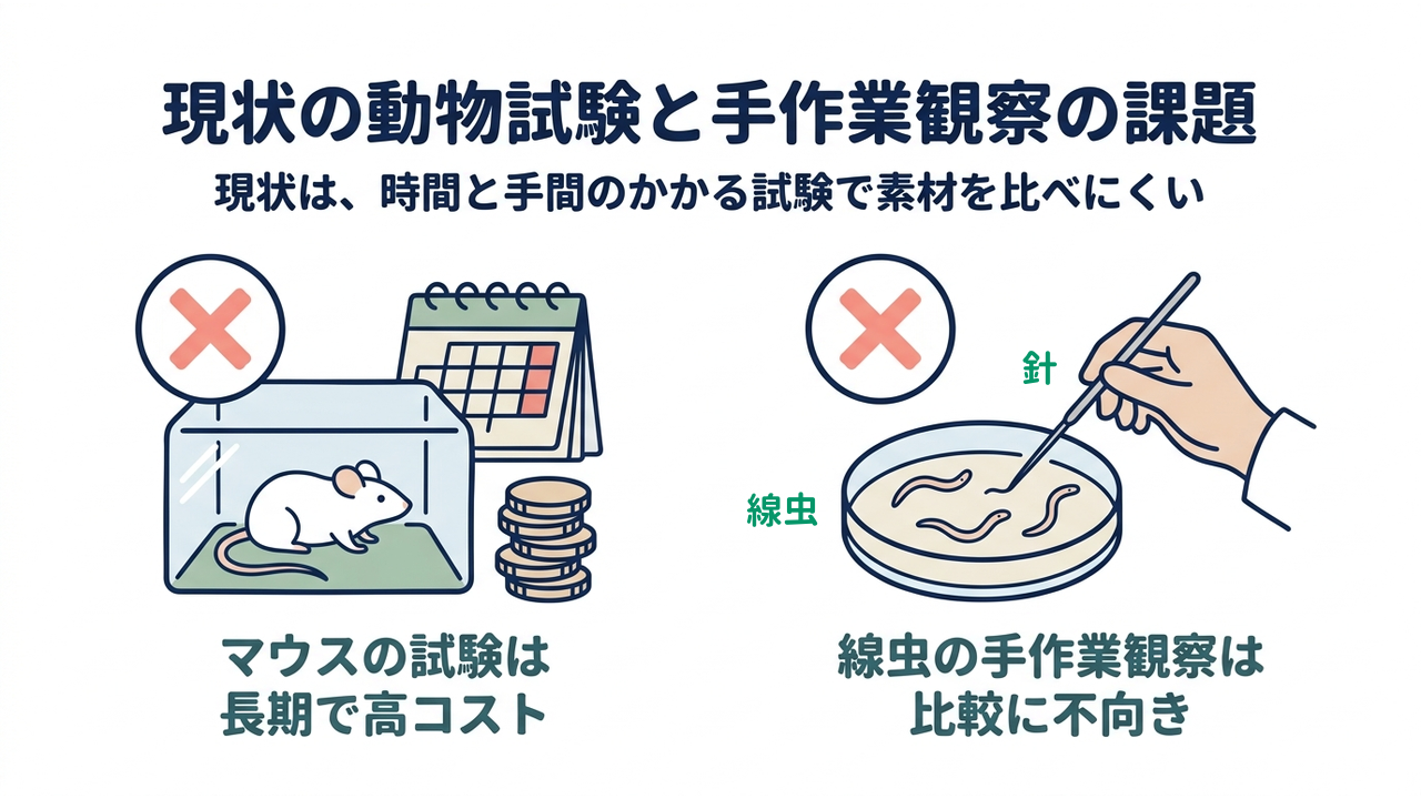 現状の動物試験と手作業観察の課題|現状は、時間と手間のかかる試験で素材を比べにくい|マウスの試験は・長期で高コスト/線虫の手作業観察は・比較に不向き
