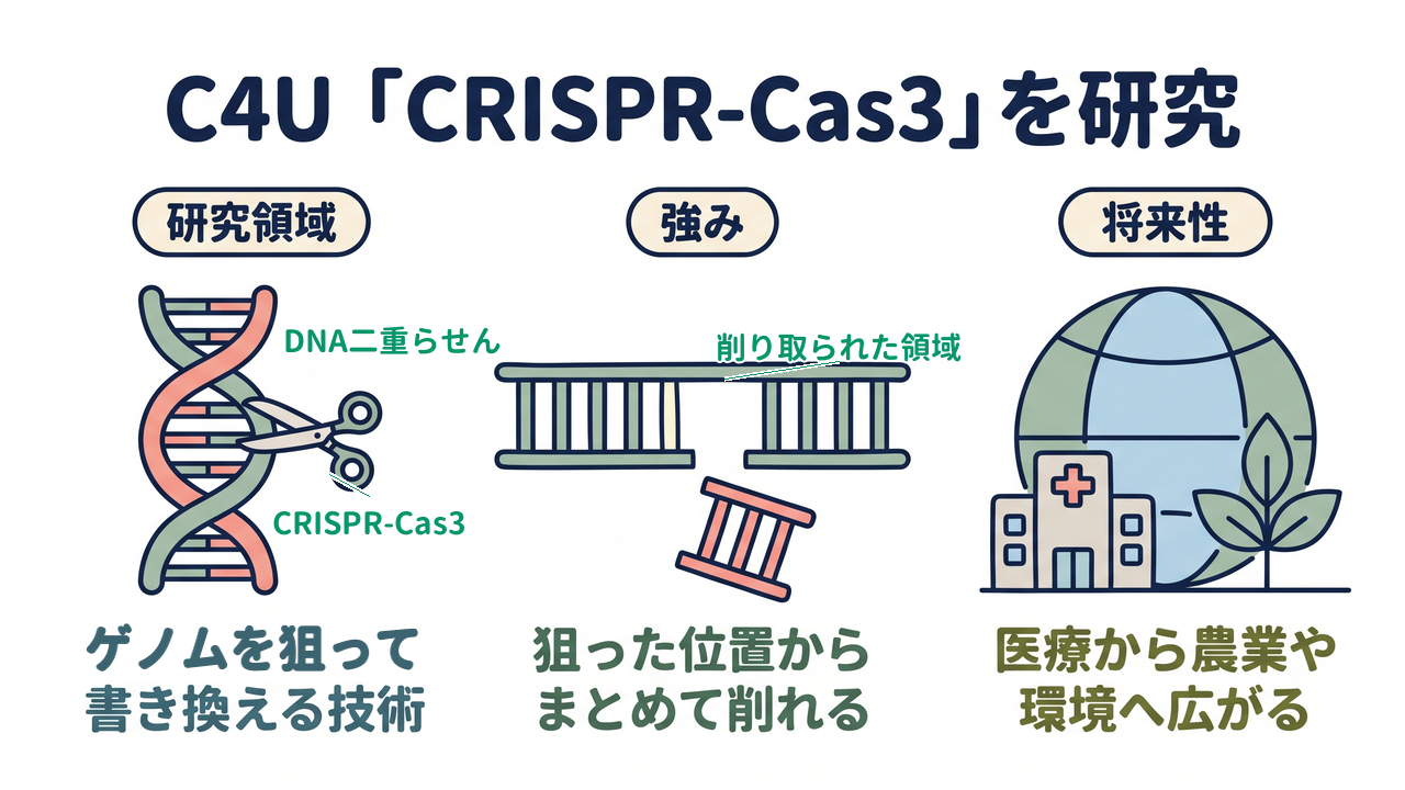 C4U「CRISPR-Cas3」を研究|研究領域=ゲノムを狙って書き換える技術/強み=狙った位置からまとめて削れる/将来性=医療から農業や環境へ広がる