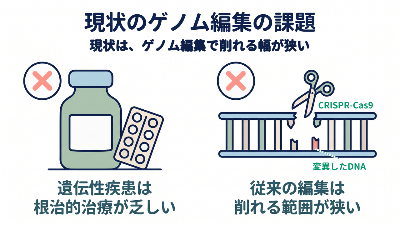 現状のゲノム編集の課題|現状は、ゲノム編集で削れる幅が狭い/遺伝性疾患は根治的治療が乏しい/従来の編集は削れる範囲が狭い