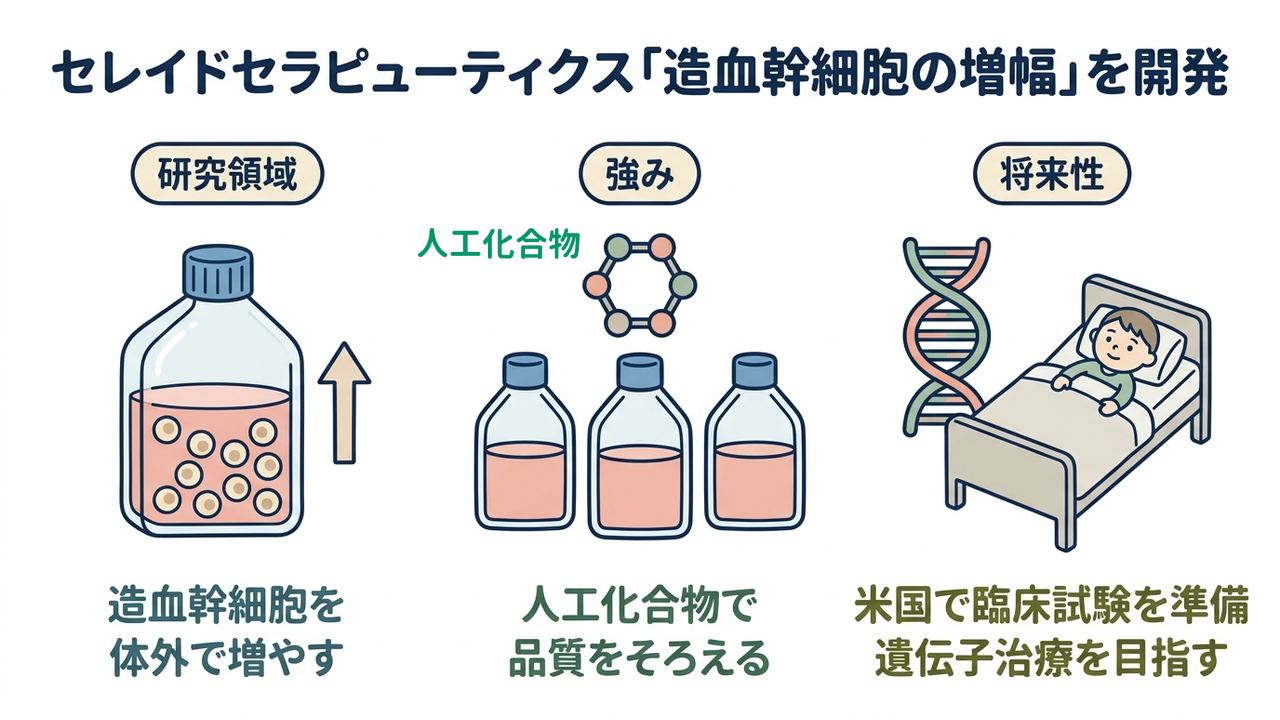 セレイドセラピューティクス「造血幹細胞の増幅」を開発|研究領域=造血幹細胞を・体外で増やす/強み=人工化合物で・品質をそろえる/将来性=米国で臨床試験を準備・遺伝子治療を目指す