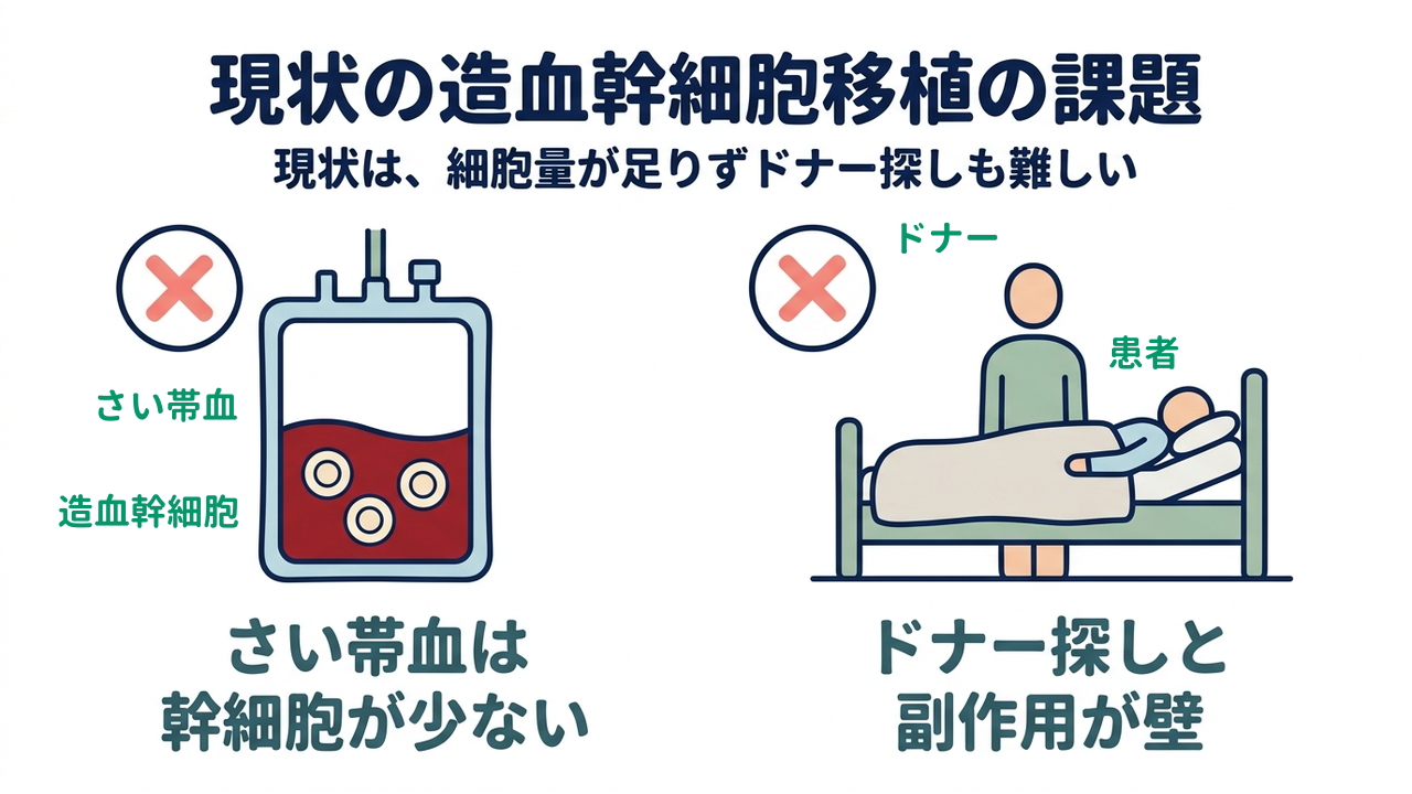 現状の造血幹細胞移植の課題|現状は、細胞量が足りずドナー探しも難しい|さい帯血は・幹細胞が少ない/ドナー探しと・副作用が壁
