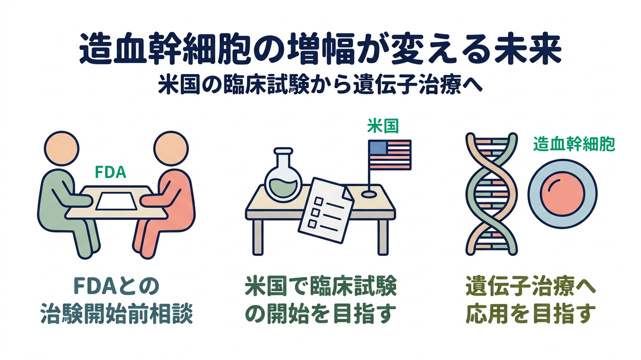 造血幹細胞の増幅が変える未来|米国の臨床試験から遺伝子治療へ|FDAとの・治験開始前相談/米国で臨床試験・の開始を目指す/遺伝子治療へ・応用を目指す