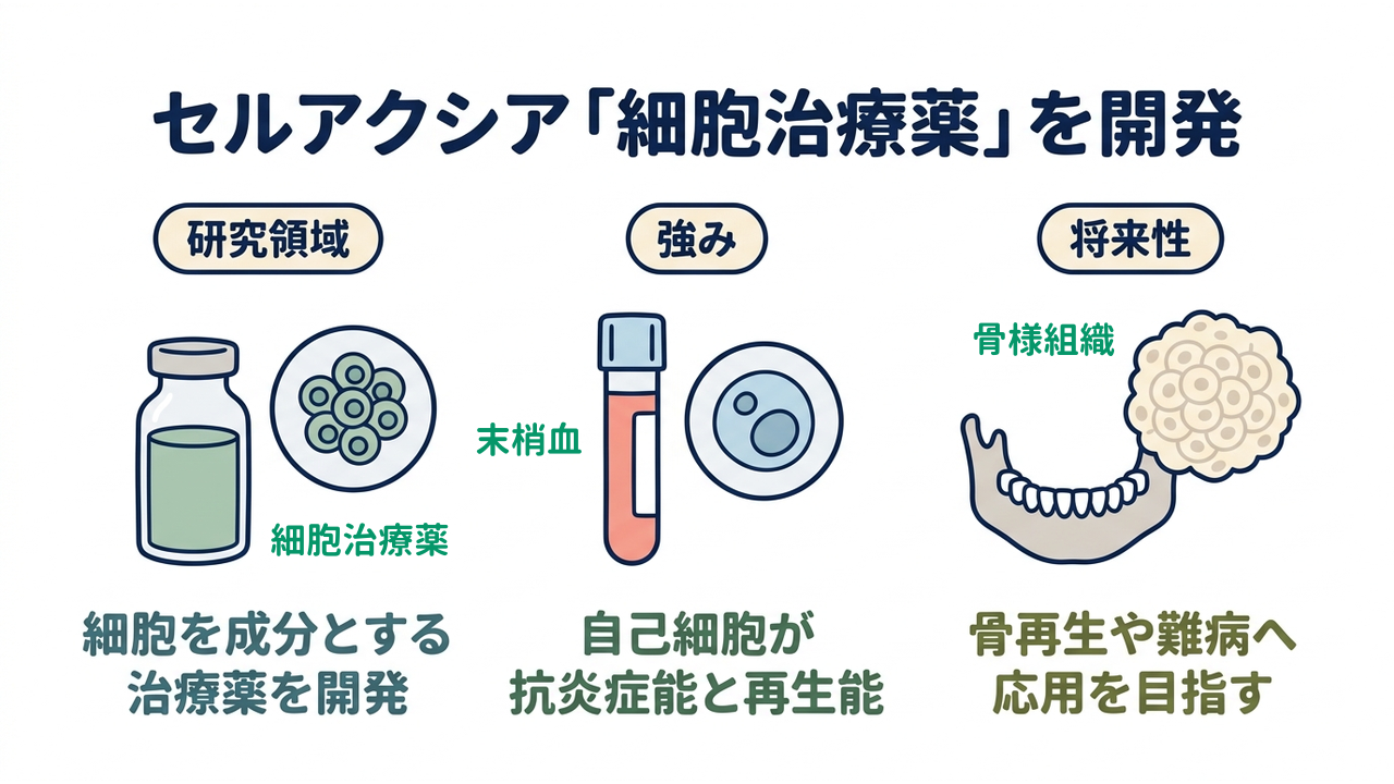 セルアクシア「細胞治療薬」を開発｜研究領域=細胞を成分とする治療薬を開発／強み=自己細胞が抗炎症能と再生能／将来性=骨再生や難病へ応用を目指す