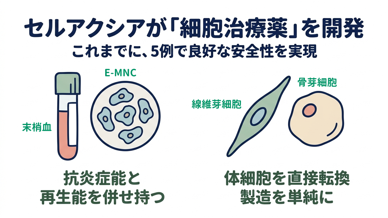セルアクシアが「細胞治療薬」を開発｜抗炎症能と再生能を併せ持つ／体細胞を直接転換し製造を単純に