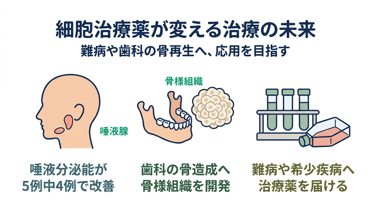 細胞治療薬が変える治療の未来｜唾液分泌能が5例中4例で改善／歯科の骨造成へ骨様組織を開発／難病や希少疾病へ治療薬を届ける