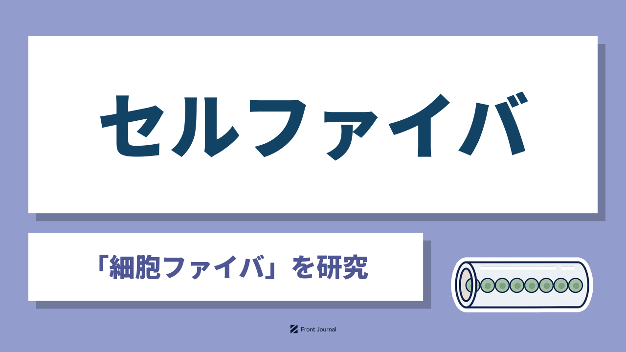 株式会社セルファイバ（CellFiber）