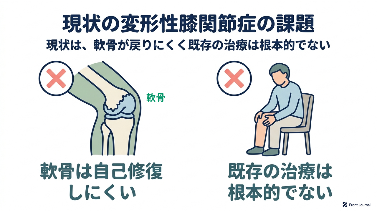 現状の変形性膝関節症の課題|現状は、軟骨が戻りにくく既存の治療は根本的でない/軟骨は自己修復しにくい/既存の治療は根本的でない