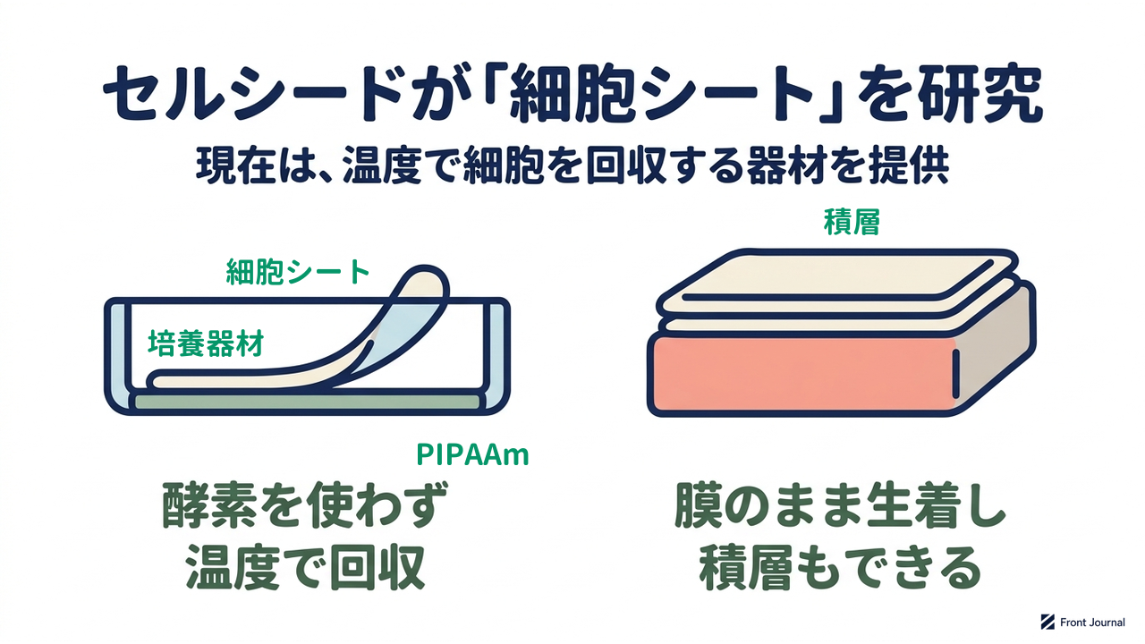 セルシードが「細胞シート」を研究|現在は、温度で細胞を回収する器材を提供/酵素を使わず温度で回収/膜のまま生着し積層もできる