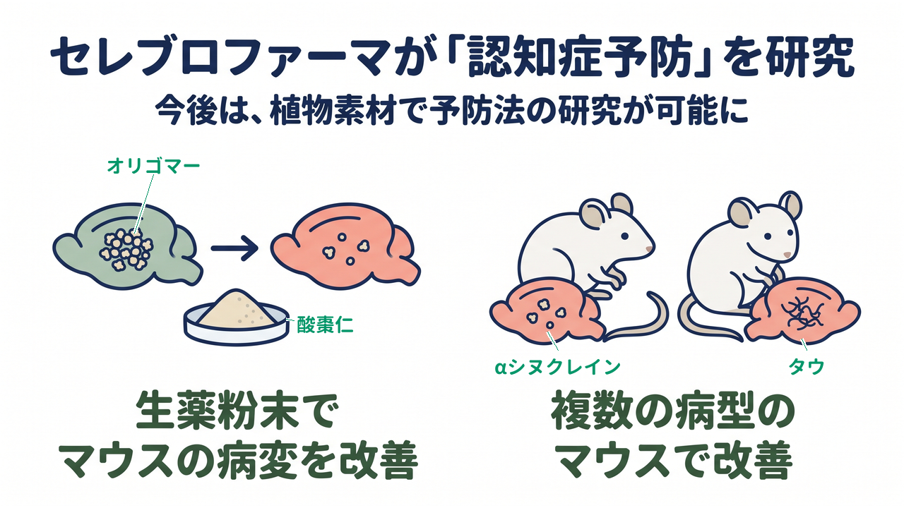 セレブロファーマが「認知症予防」を研究｜今後は、植物素材で予防法の研究が可能に｜生薬粉末で・マウスの病変を改善／複数の病型の・マウスで改善