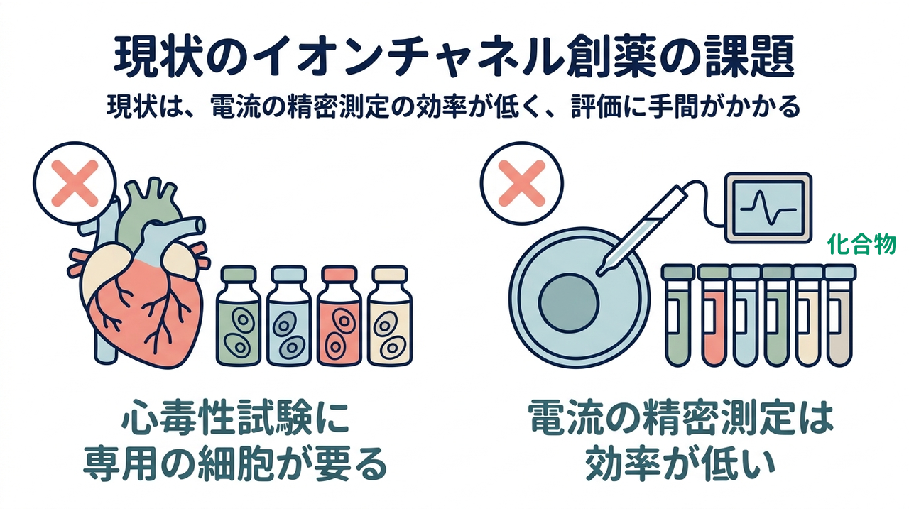 現状のイオンチャネル創薬の課題｜現状は、電流の精密測定の効率が低く、評価に手間がかかる／心毒性試験に専用の細胞が要る／電流の精密測定は効率が低い