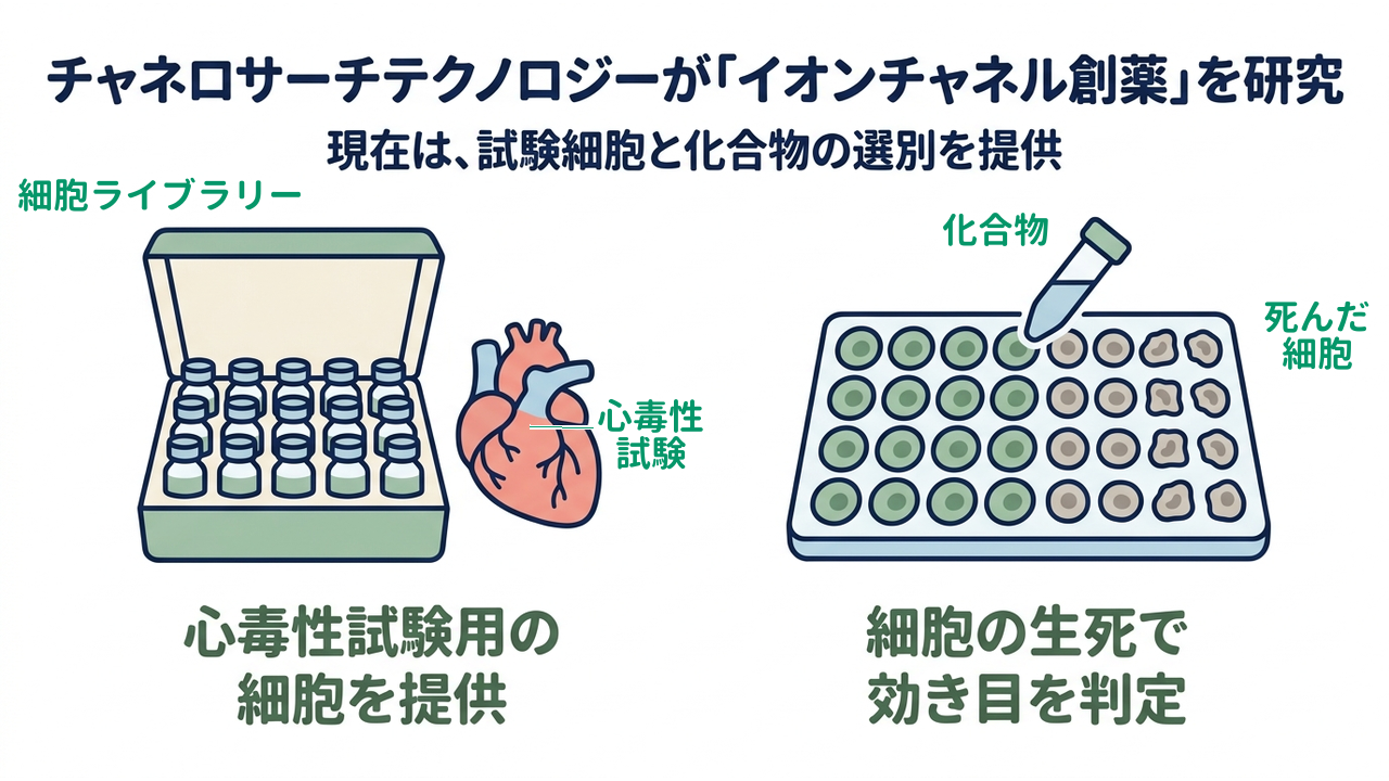 チャネロサーチテクノロジーが「イオンチャネル創薬」を研究｜現在は、試験細胞と化合物の選別を提供／心毒性試験用の細胞を提供／細胞の生死で効き目を判定
