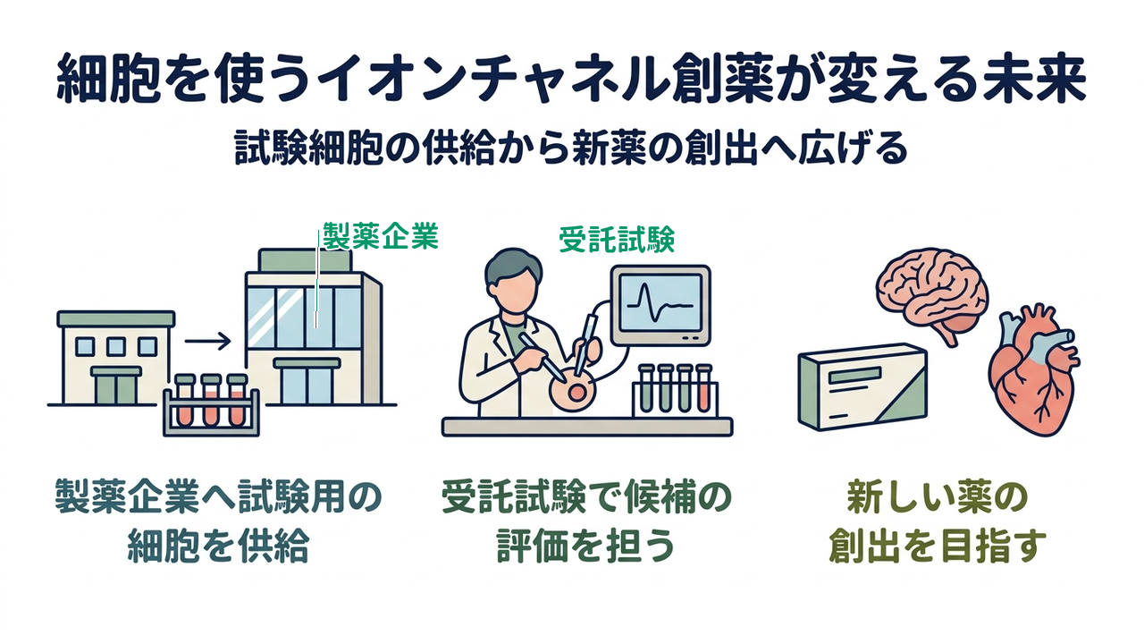 細胞を使うイオンチャネル創薬が変える未来｜試験細胞の供給から新薬の創出へ広げる／製薬企業へ試験用の細胞を供給／受託試験で候補の評価を担う／新しい薬の創出を目指す