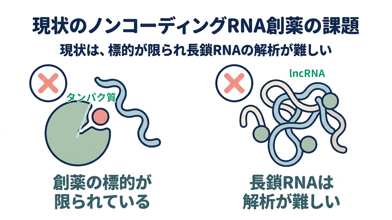 現状のノンコーディングRNA創薬の課題｜タンパク質中心で標的が限られる／長鎖RNAは解析が難しい