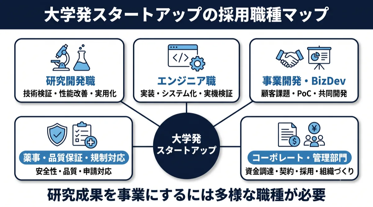 大学発スタートアップの採用職種マップ｜研究開発・エンジニア・事業開発・薬事品質・コーポレート