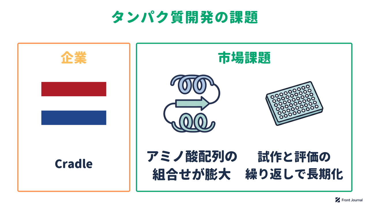 Cradleの紹介と、タンパク質の配列の組み合わせが膨大で、試作と評価の繰り返しで開発期間が延びることを示す図
