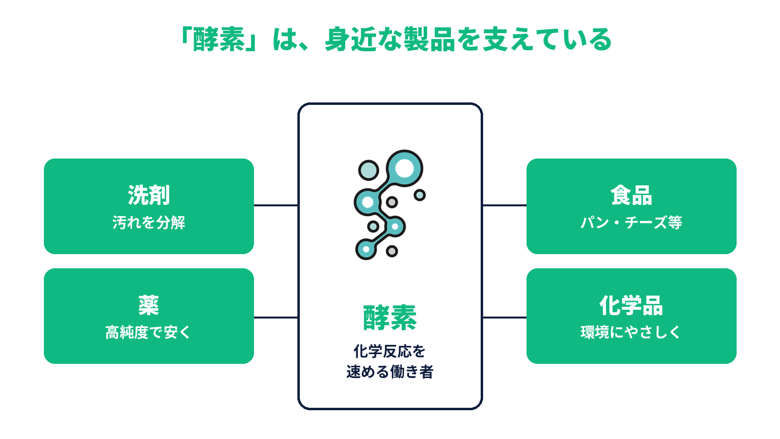 「酵素」は身近な製品を支えている図。酵素は化学反応を速めるミクロの職人で、洗剤（汚れを分解）・食品（パン・チーズ・ビール）・薬（高い純度で安く）・化学品（環境にやさしく）に使われる
