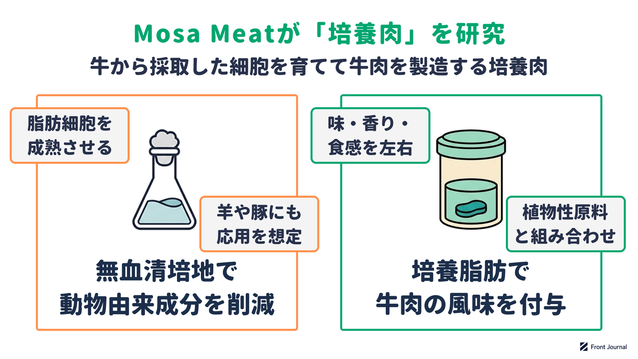 培養肉の研究を示す図。無血清培地で動物由来の成分を減らし、培養した脂肪で植物性原料に牛肉の風味を加える