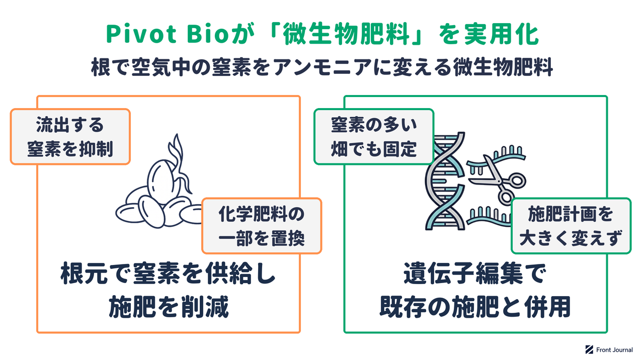 Pivot Bioの微生物肥料が、根元で窒素を供給して施肥を削減し、遺伝子編集によって既存の施肥と併用できることを示す図