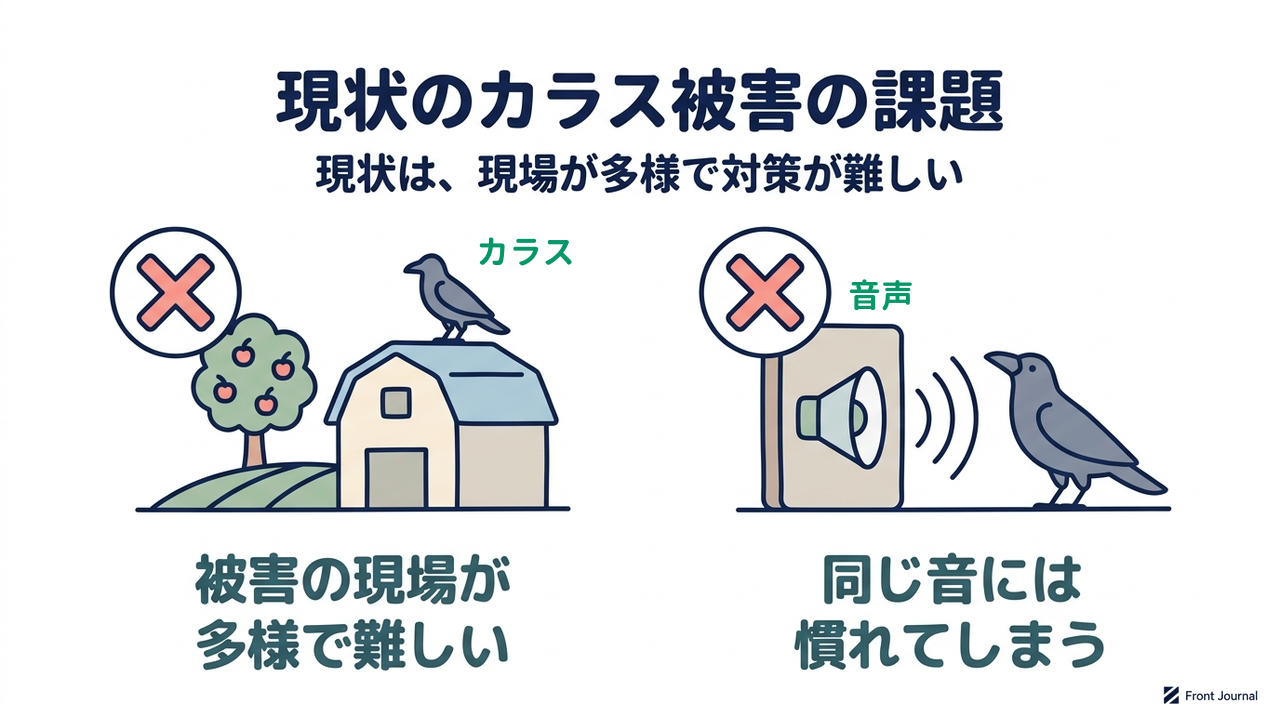 現状のカラス被害の課題