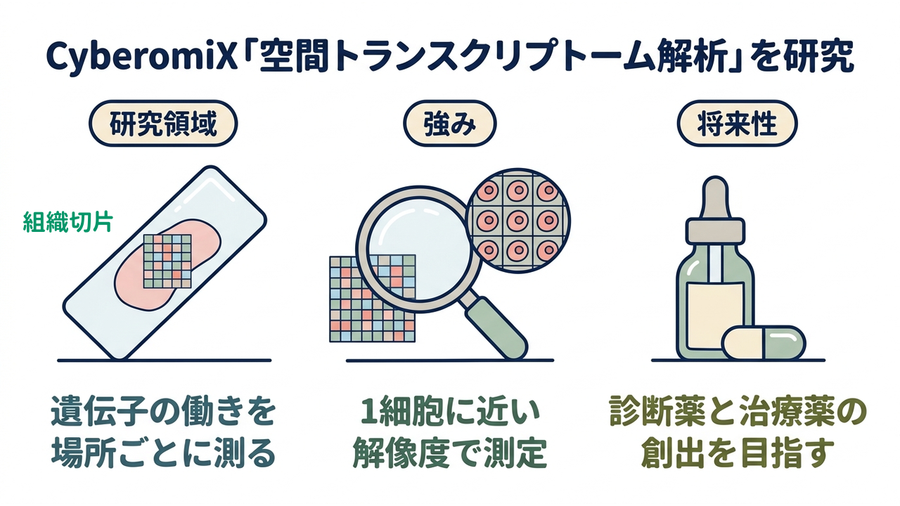 CyberomiX「空間トランスクリプトーム解析」を研究｜研究領域=遺伝子の働きを・場所ごとに測る／強み=1細胞に近い・解像度で測定／将来性=診断薬と治療薬の・創出を目指す