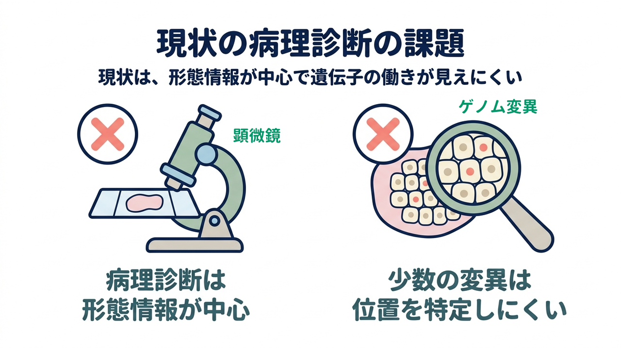 現状の病理診断の課題｜現状は、形態情報が中心で遺伝子の働きが見えにくい｜病理診断は・形態情報が中心／少数の変異は・位置を特定しにくい